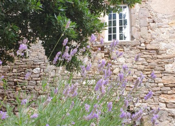 Partie de Château du XI ieme à Canet d'Aude