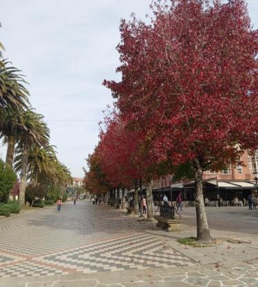 Paseo de Noia