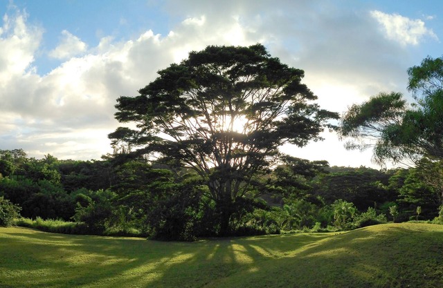 Peaceful & Private Studio - 12 Acre Hobby Organic Fruit Farm - Beach 10min