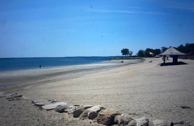 Peaceful, Sunny, Convenient Downtown Greenwich
