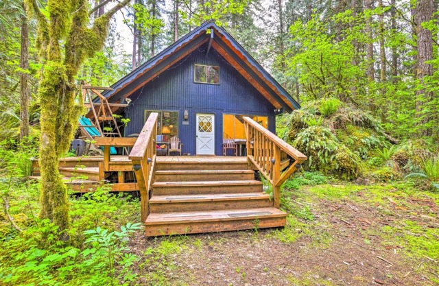Peaceful Wooded Cabin By Mt Baker Ski Area!