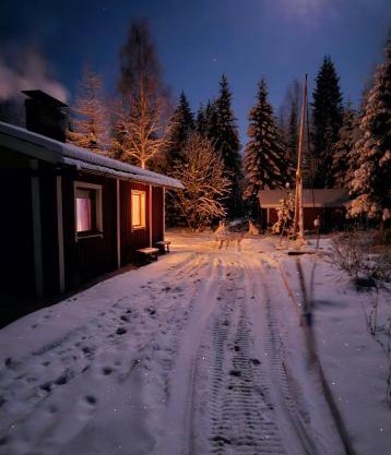 Peacfull cottage in middle of forest