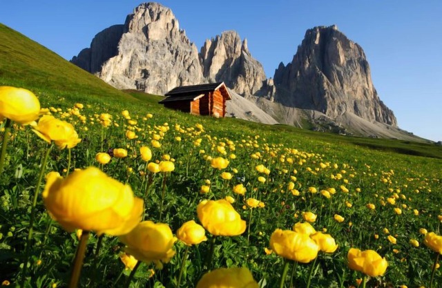 Pederiva (SOF740) by Interhome