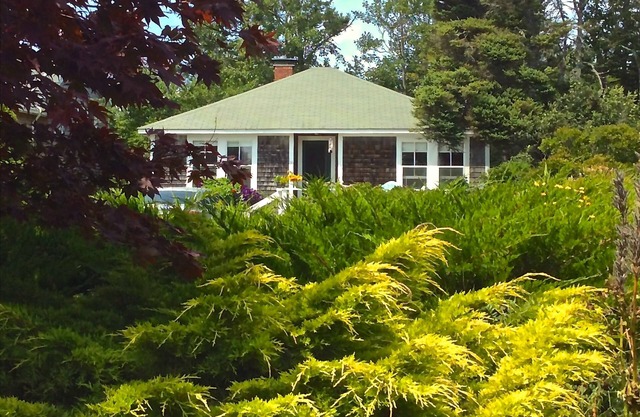 Pemaquid Point Cottage-Cliff Road-Fireplace-2 minute walk to Lighthouse-Pets ok