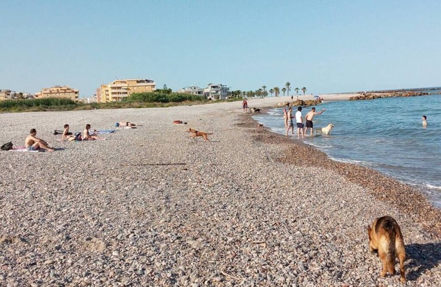 Pensión Benavente. 2 - (Playa 1,5km/AP7-3min)
