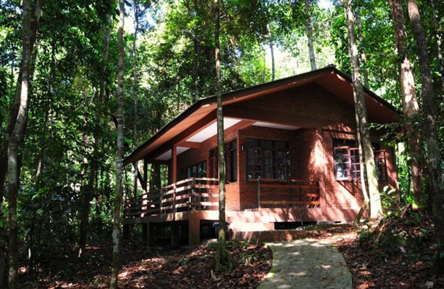 Permai Rainforest Resort