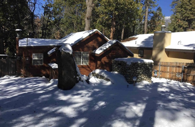 Pet friendly cabin-Fully fenced yard! Pets stay free!