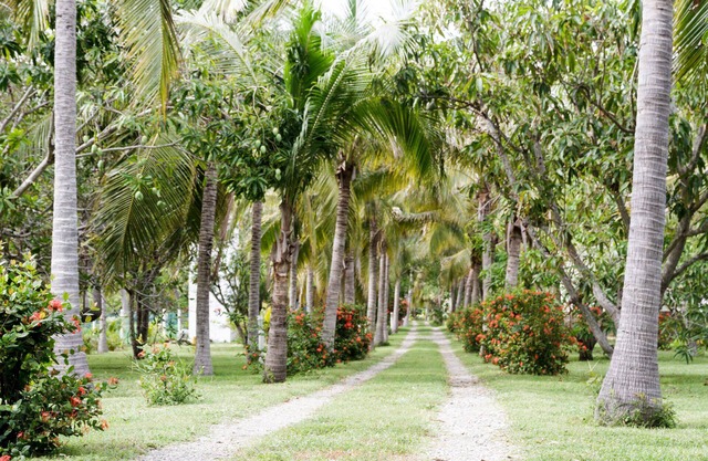 Pet friendly bungalow between the ocean and lagoon