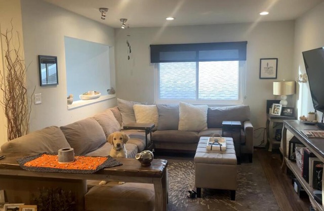 Pet friendly in Boulder! Minutes from CU & Pearl!