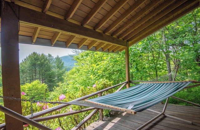 Phoenix Rising + Views + Private + Wi-Fi + Minutes to Lansing