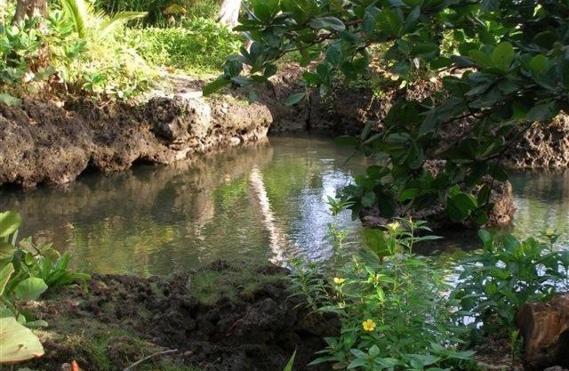 Piscina Natural on the Sea