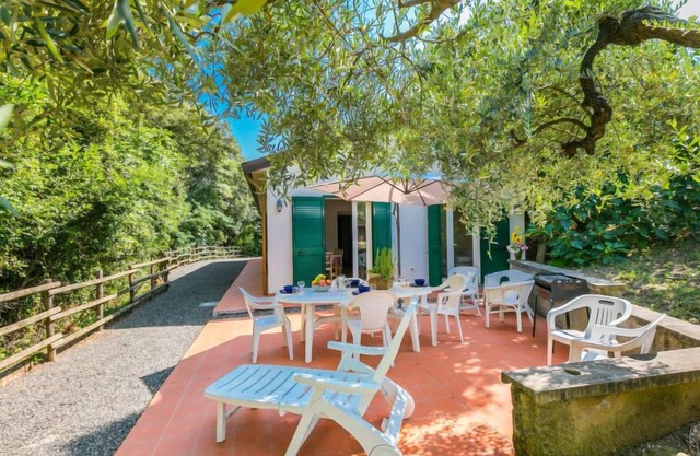 Podere gli Olivi by Interhome