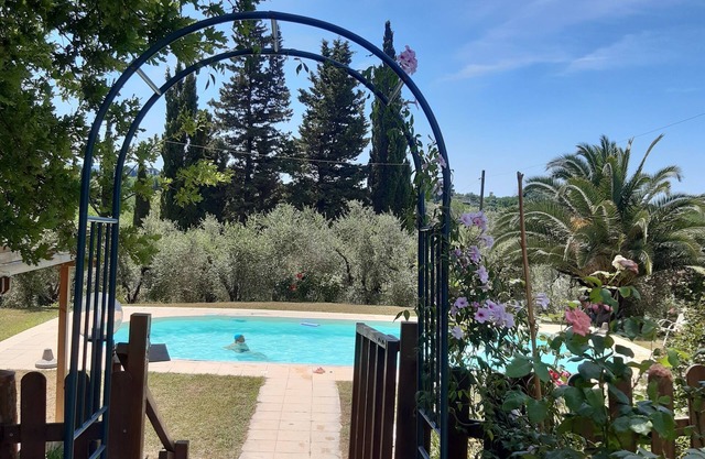 Podere Gli Ulivi - Apartment Hydrangeas - Relax in the countryside