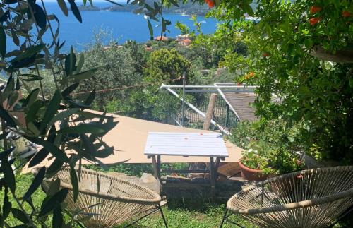 portofino view