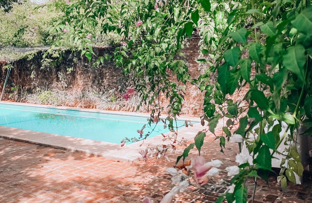 Posada San Isidro