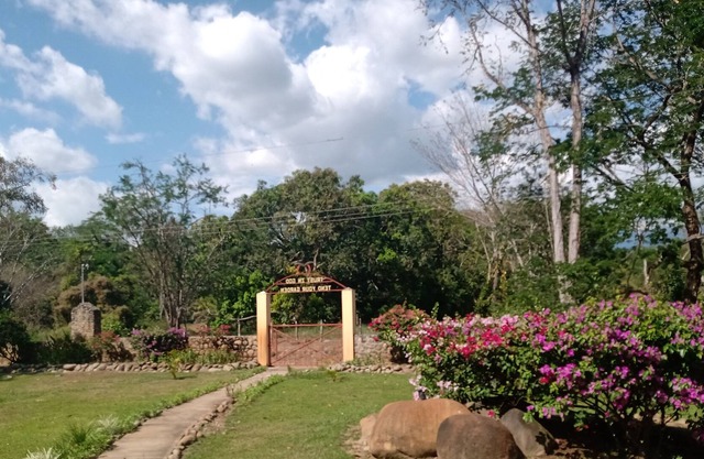 Private Ranch Home on 200 acres with pool