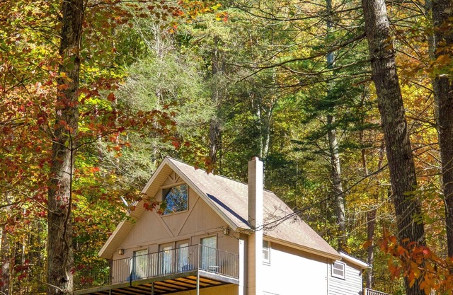 Private Shenandoah Cabin Chalet Luray Fire Pit
