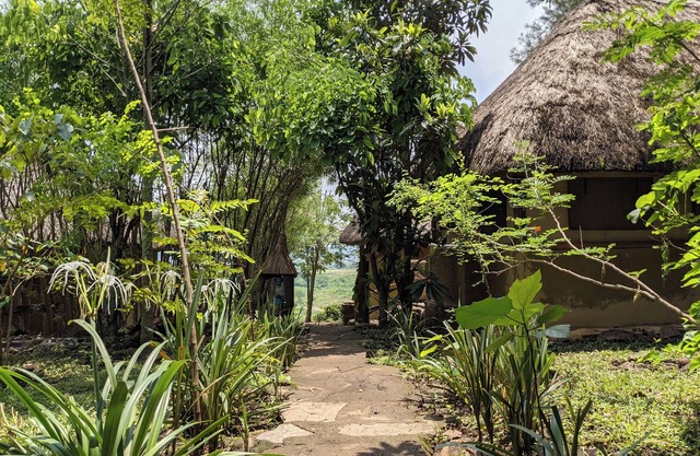 Pumba Safari Cottages