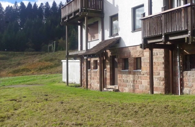 Pure nature in the Black Forest National Park