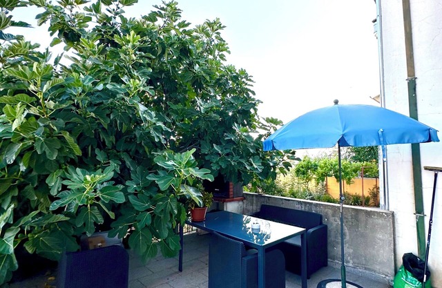 Quarto em Casa Aconchegante em Bragança