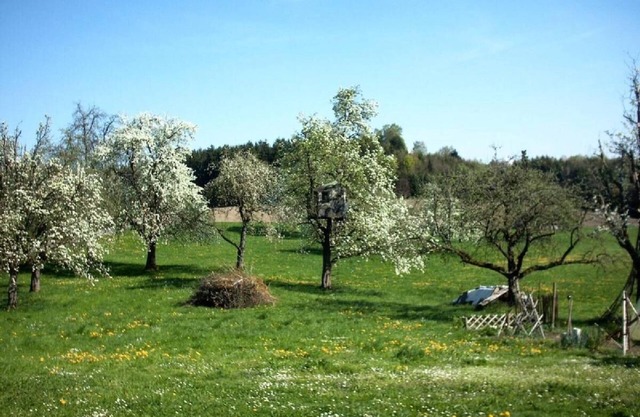 Quiet and idyllic location