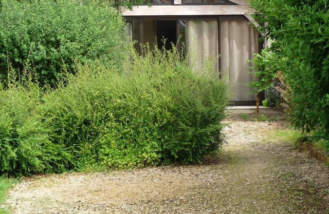 Quiet cottage with large garden of 1400 m2 in the village of St Antonin and WIFI