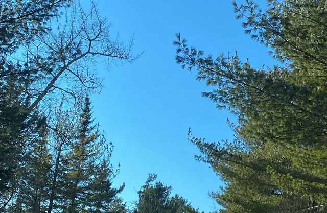 Quiet Eco Oasis on Fox Point Lake - 45mins from Halifax