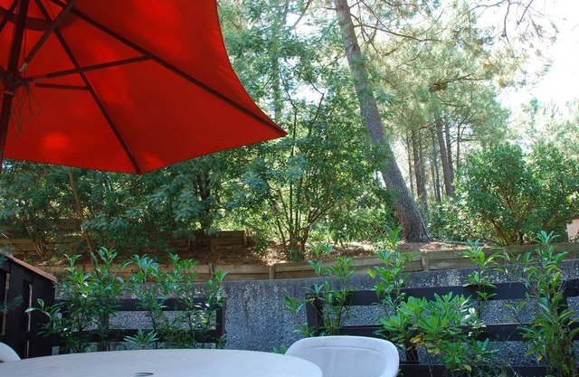 Quiet pavilion among the pine trees very pleasant close to ocean