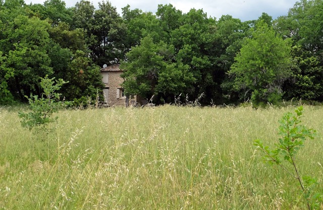 RABASSO: pretty shed in the middle of nature.