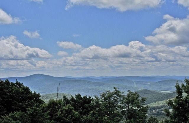 Rare Gem! Hike to the Summit of Bramley Mountain Trail! FREE Parking!