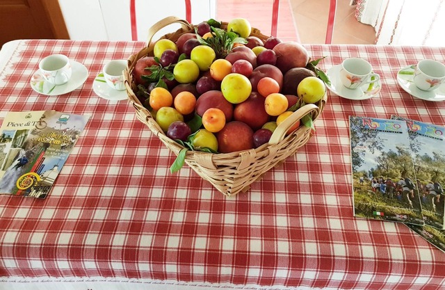 - RELAXATION OFFER - IN AGRITURISMO