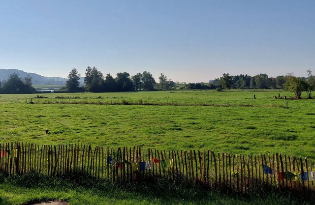 Renovated vacation apartment on Lake Lengenweiler with a view of the countryside