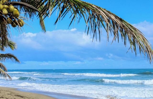 ResCristamar CMA304 Cabarete POP