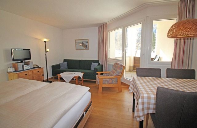 Residenza Lagrev - 1 room flat - No. 003 - Type 12A - Raised ground floor - S