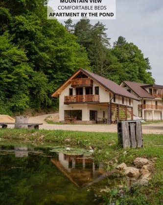 Ribnik Stari trg