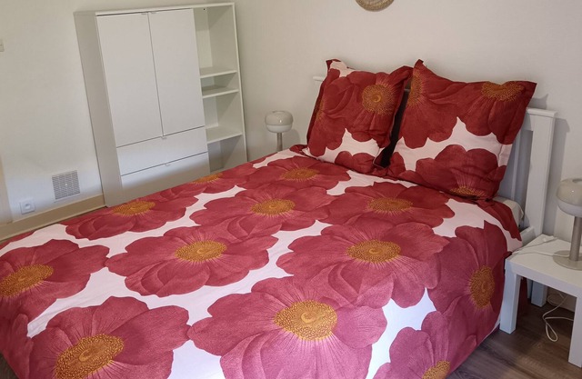 Riom - Appartement F2 à Proximité du Centre Historique