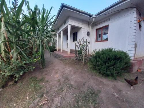 RNiyonzima Homesstay