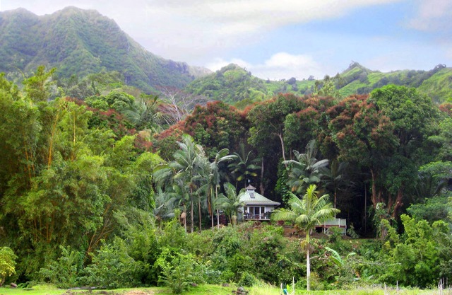 Romantic Cottage, Private Acre of Paradise, View! Pool!