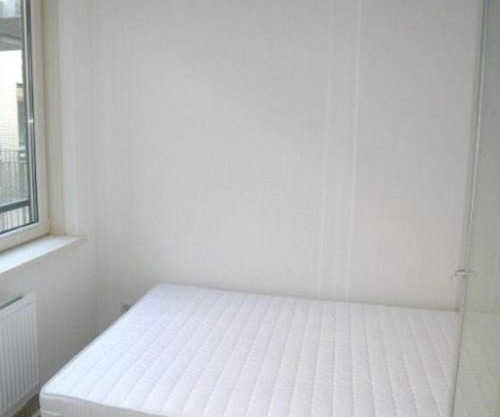 Rond Doamna Ghica vis a vis de parcul Plumbuita