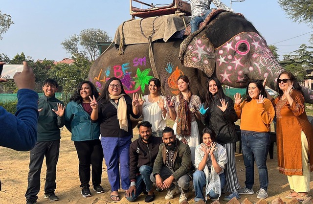 Room 4 - You can spend time with elephants by going close them