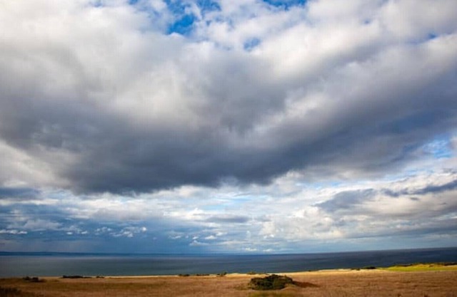 Rustic cabin 3, sea views from rewilded farm