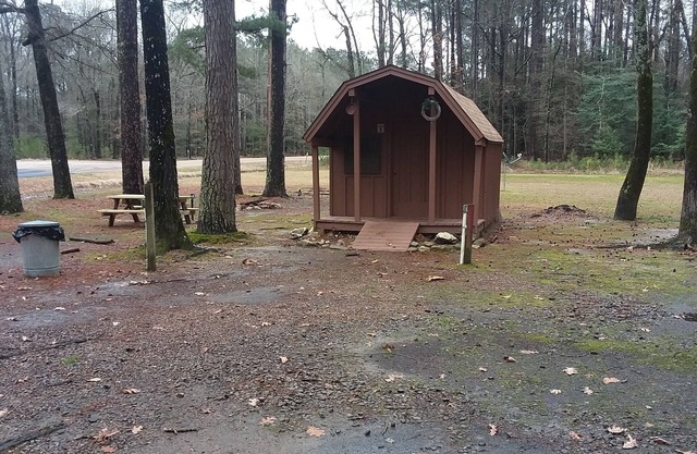 Rustic Cabin one at a discount price