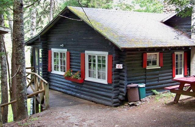 Rustic, split-level log cottage, River-view, Pet-friendly, Downeast Maine