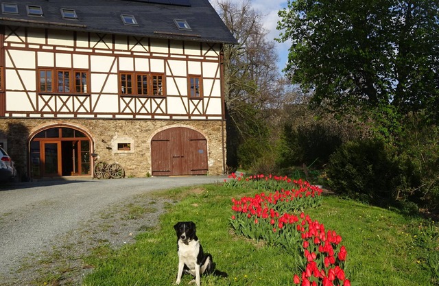 Rustic vacation in the "barn"