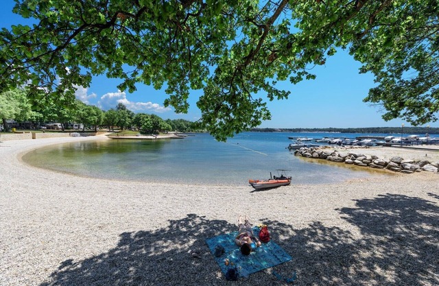 Rustical Villa Allure with Private Pool, BBQ and Children Playground