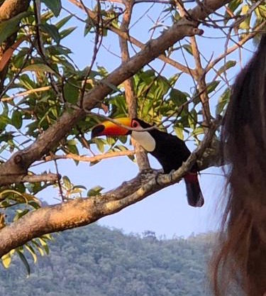 Sítio Recanto da Paz Casa Amarela