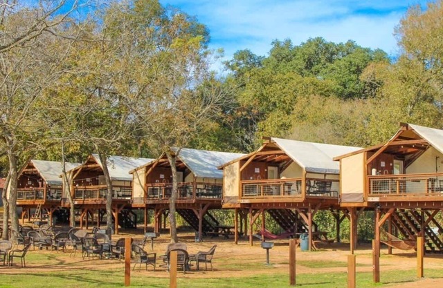 Safari Cabin #5 Summa