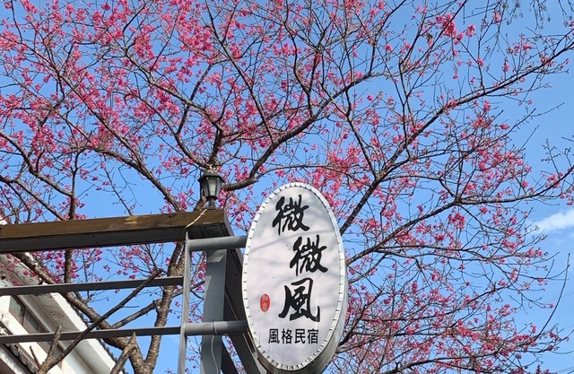 Sanyi Wei Wei Feng
