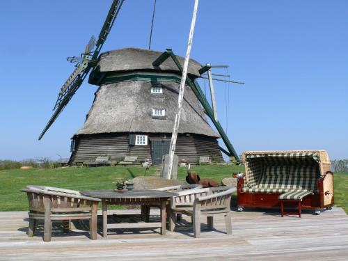 Schöne authentische Mühle nahe am Meer