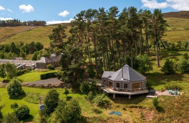 Scots Pine Treehouse